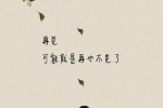 再见，可能就是再也不见了