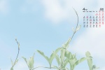 2022年4月绿色清新桌面日历壁纸