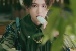 Wang Yuanjun's handsome photos in green workwear style