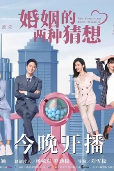 TV series《Two conjectures about marriage》poster picture