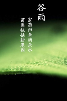 Fresh eye protection mobile wallpaper during Grain Rain season