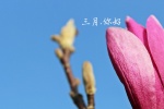 2月再见3月你好图片桌面壁纸