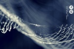 24 Solar Terms: Cold Dew Computer Wallpaper