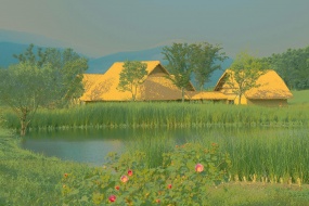 森系唯美自然风光图片壁纸