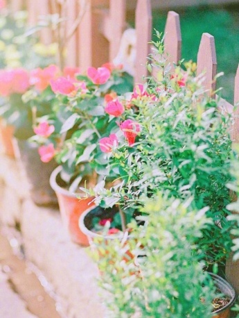 城镇风景清新手机壁纸图片