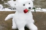Dog holding rose emoticon
