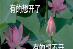 有的想开了，有的想不开