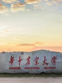 华中农业大学