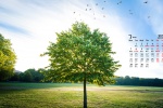 March 2022 blue sky and white clouds eye protection calendar wallpaper