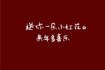 送你一朵小红花，来年多喜乐