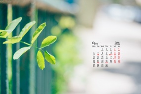 September 2021 eye-protecting green desktop calendar wallpaper