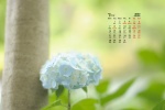 March 2022 HD Eye Protection Desktop Calendar Wallpaper