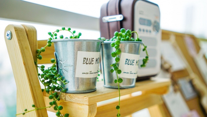 Japanese style small fresh still life pictures desktop wallpaper