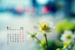 Eye-protecting green plant calendar wallpaper for January 2022