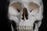 Personalized skull HD wallpaper