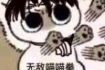 无敌喵喵拳