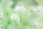 2021年9月小清新电脑日历壁纸