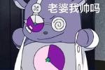 老婆我帅吗