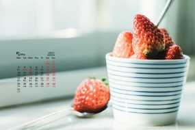 May 2021 small fresh still life desktop calendar wallpaper