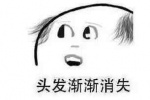 头发渐渐消失表情包
