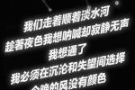 我们走着顺着淡水河 趁着夜色我想呐喊却寂静无声 我想通了 我必须在沉沦和失望间选择 今晚的风没有颜色