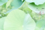 2021年4月護眼綠色風景桌麵日曆壁紙