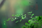 May 2021 Vision Protection HD Desktop Calendar Wallpaper