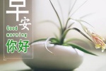 早安你好