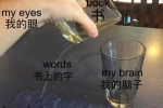 我的眼 书上的字 我的脑子 知识