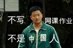 不写网课作业不是中国人