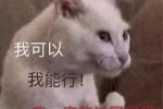 我可以 我能行！我一定能过国家线