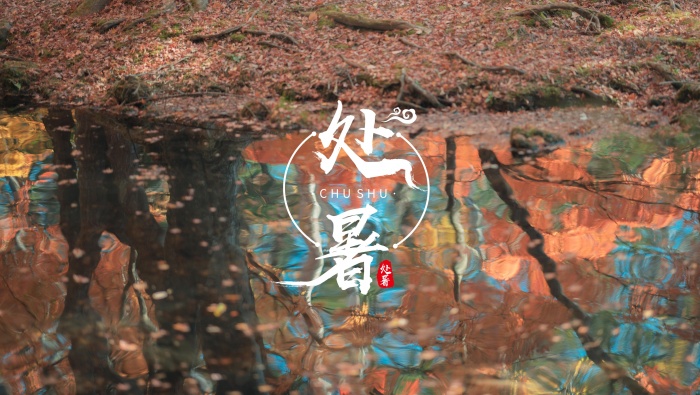 Summer solar term HD desktop wallpaper