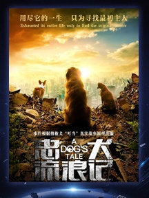 《忠犬流浪記》