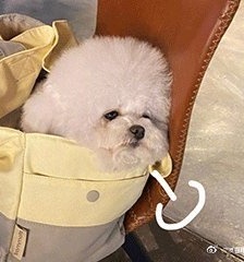 Dog sighing emoticon pack