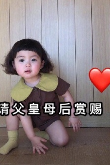 Double 11 little girl asking for money emoticon pack