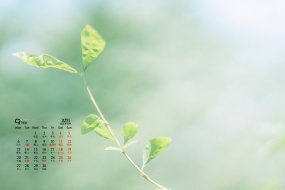 September 2021 Eye Protection HD Desktop Calendar Wallpaper