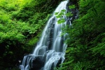 Beautiful natural scenery HD wallpapers of waterfalls and streams, second series