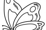 Simple strokes of butterfly pictures