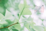 February 2022 park flowers and leaves desktop calendar wallpaper