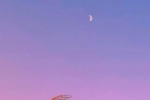 Pink and purple beautiful scenery without watermark mobile wallpaper