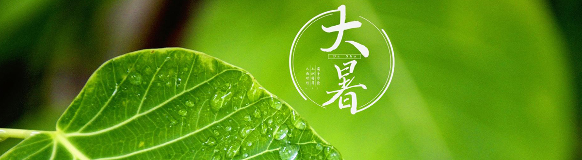 Great summer mobile wallpaper