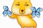 藏狐摸鱼表情包