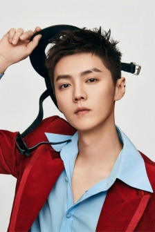 Lu Han deep v vacuum suit handsome photo