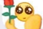 Yellow face holding rose emoticon pack