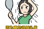 因为真的很掉头发每次照镜子都是限量版表情包