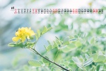 Elegant and fresh desktop calendar wallpaper for August 2021
