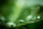 April 2022 green fresh desktop calendar wallpaper