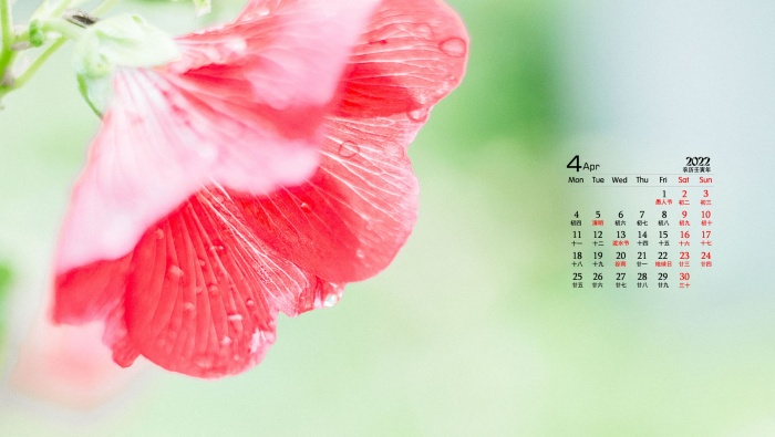 April 2022 pure green natural scenery desktop calendar wallpaper