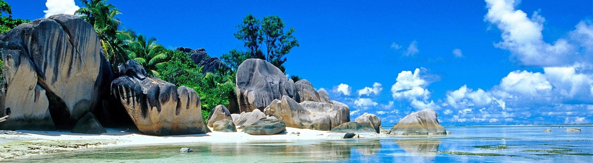 August 2021 Desktop Wallpapers