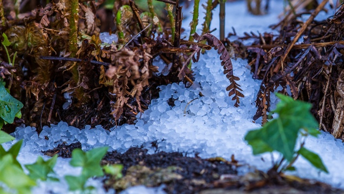 Hail pictures photography material pictures wallpapers